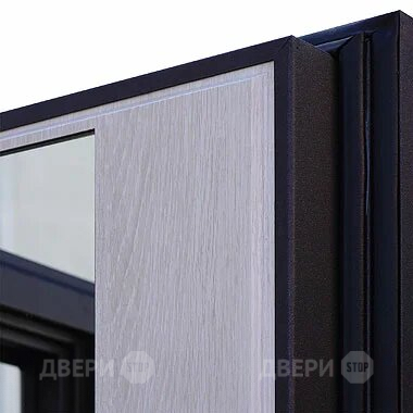 Входная металлическая Дверь Шелтер (SHELTER) Филадельфия Зеркало в Орехово-Зуево